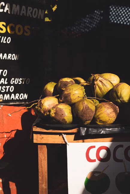 Água de Coco (1L)